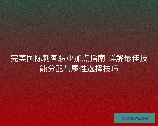 完美国际刺客职业加点指南 详解最佳技能分配与属性选择技巧