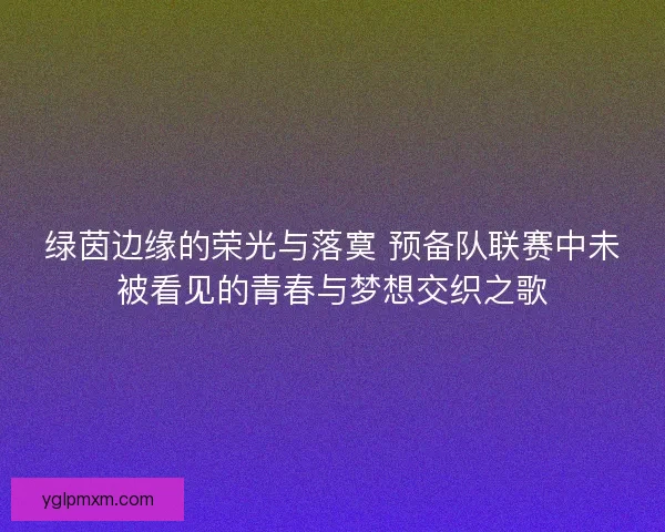 绿茵边缘的荣光与落寞 预备队联赛中未被看见的青春与梦想交织之歌