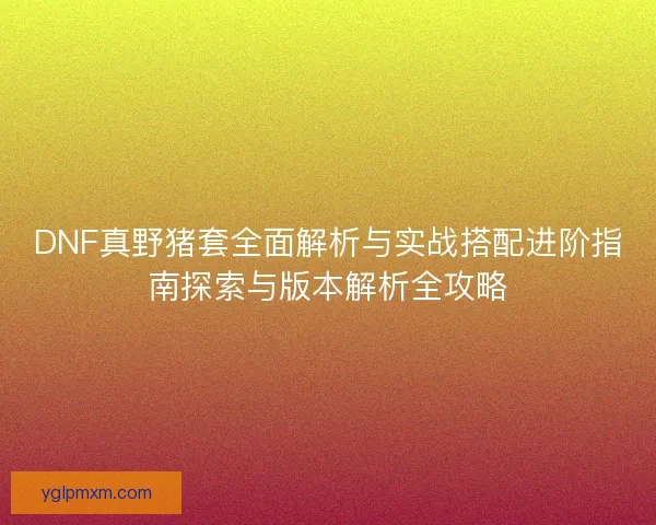 DNF真野猪套全面解析与实战搭配进阶指南探索与版本解析全攻略
