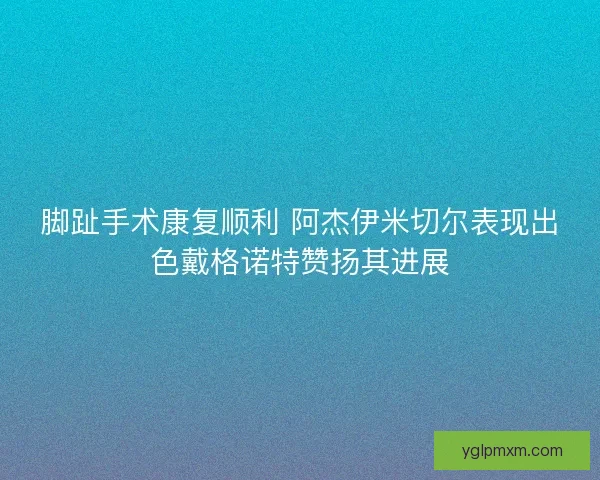 脚趾手术康复顺利 阿杰伊米切尔表现出色戴格诺特赞扬其进展
